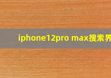 iphone12pro max搜索界面